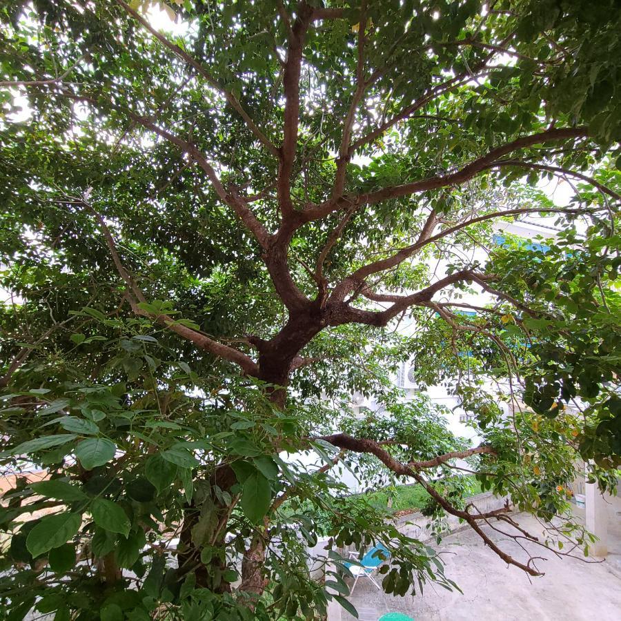 Bed and Breakfast 白砂灣藍海之丘blue Ocean Hill Heng-ch'un Exterior foto